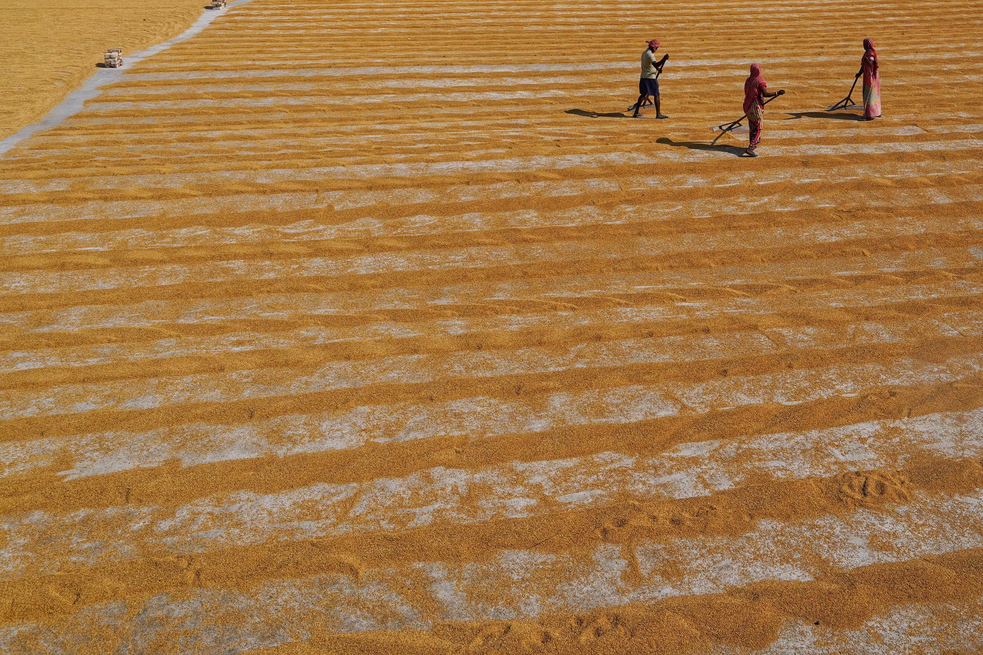 Origin fields in Afghanistan