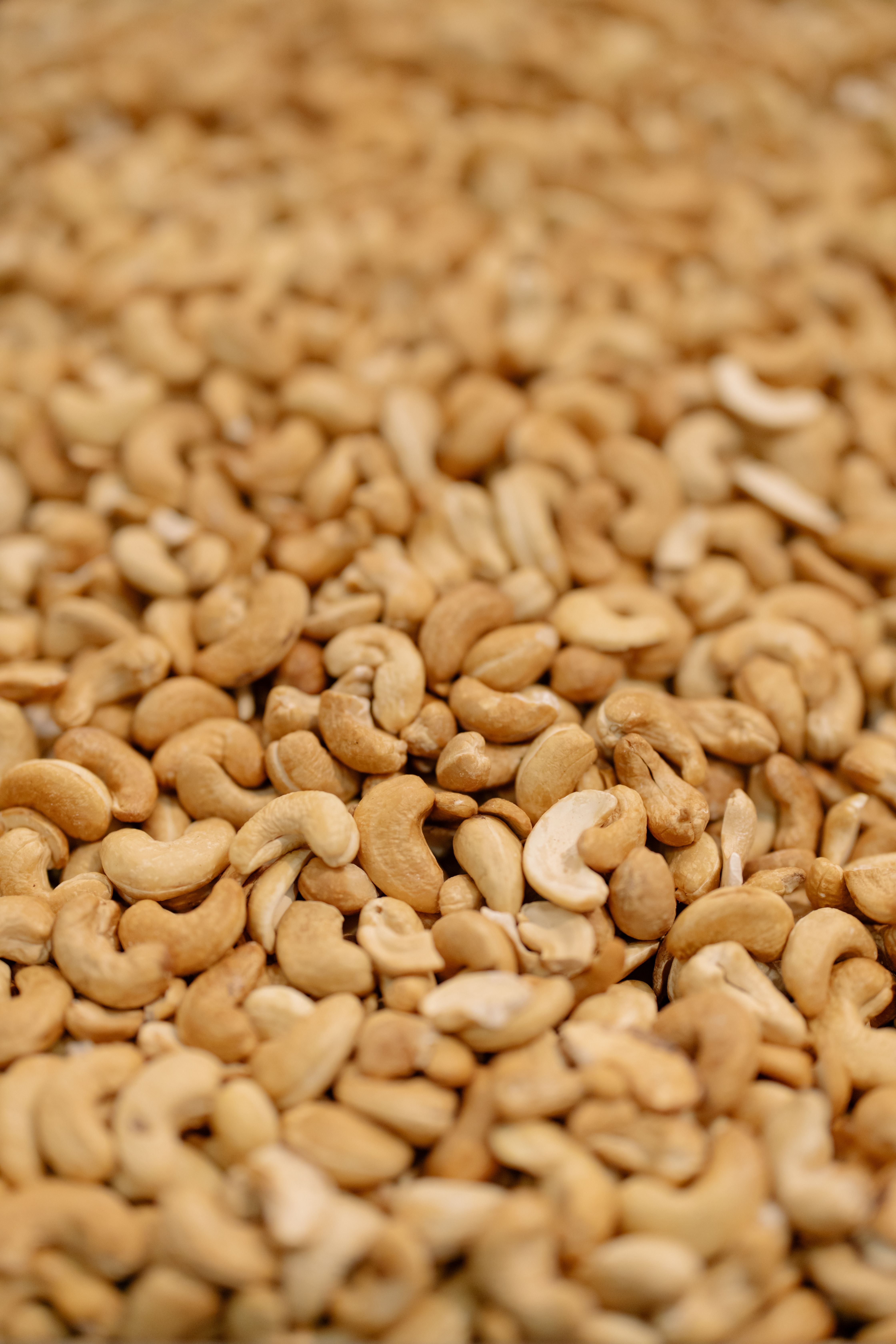 Product photo: Cashew Kernels W320