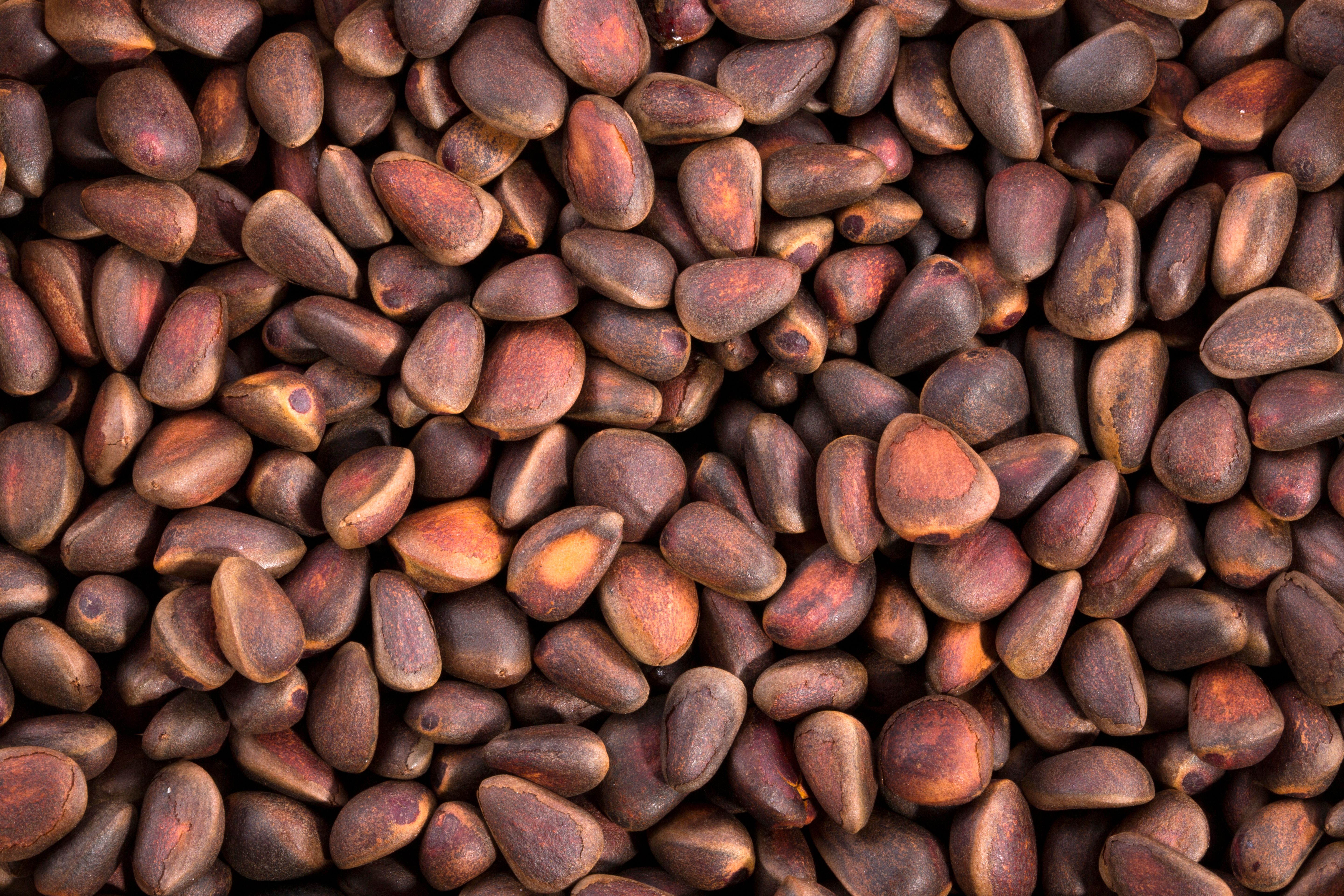 Product photo: Siberian Pine Nuts 950
