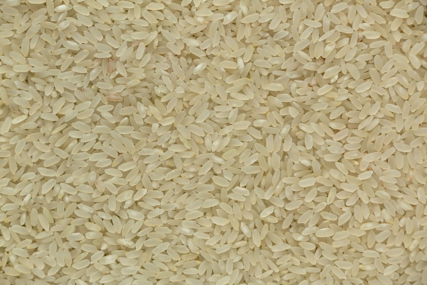 Product photo: 1121 Steamed Rice